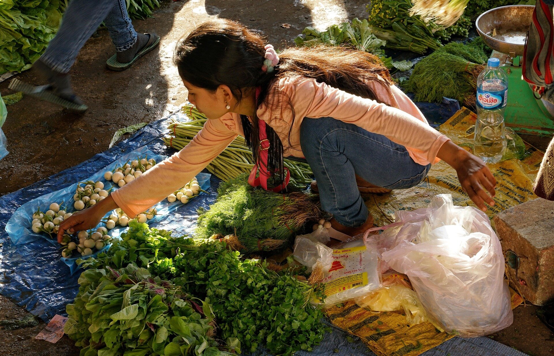 Pakse Local Market, Laos